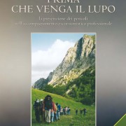 24,00 €